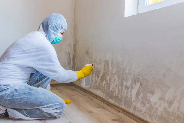 Hvac And Air Duct Mold Remediation inspection of HVAC system in Passaic
